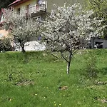 Pod Modrzewiem Agroturystyczne Mieszkania Turystyczne Lägenhet *