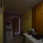 Pod Modrzewiem Agroturystyczne Mieszkania Turystyczne