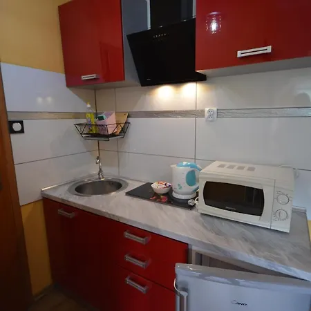 Apartamento Pod Modrzewiem Mieszkania Wakacyjne