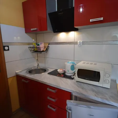 Appartement Pod Modrzewiem Agroturystyczne Mieszkania Turystyczne