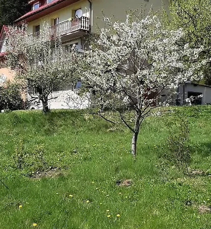 Pod Modrzewiem Agroturystyczne Mieszkania Turystyczne Appartement *