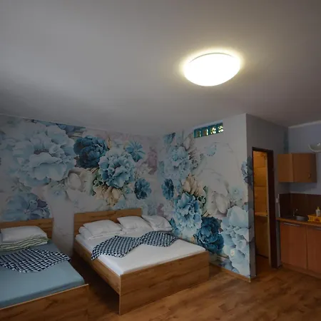 Appartement Pod Modrzewiem Agroturystyczne Mieszkania Turystyczne Duszniki Zdrój