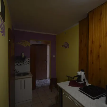 Pod Modrzewiem Mieszkania Wakacyjne
