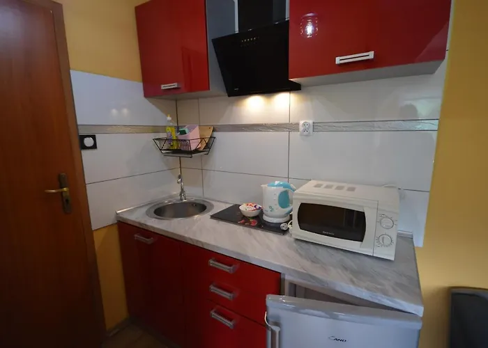 דירה Pod Modrzewiem Agroturystyczne Mieszkania Turystyczne