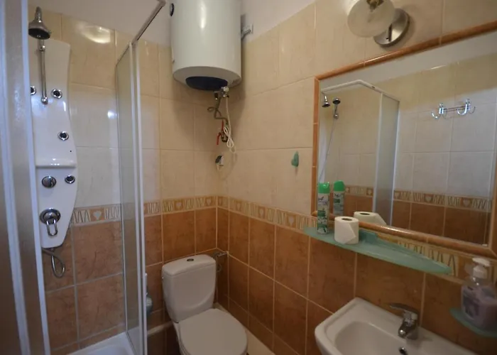 Pod Modrzewiem Agroturystyczne Mieszkania Turystyczne דירה