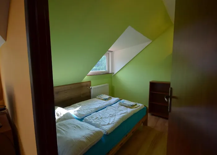 דירה Pod Modrzewiem Agroturystyczne Mieszkania Turystyczne דוז'ניקי ז'דרוז'