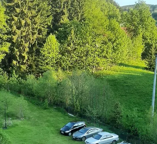 아파트 Pod Modrzewiem Agroturystyczne Mieszkania Turystyczne 두슈니키 즈드로지