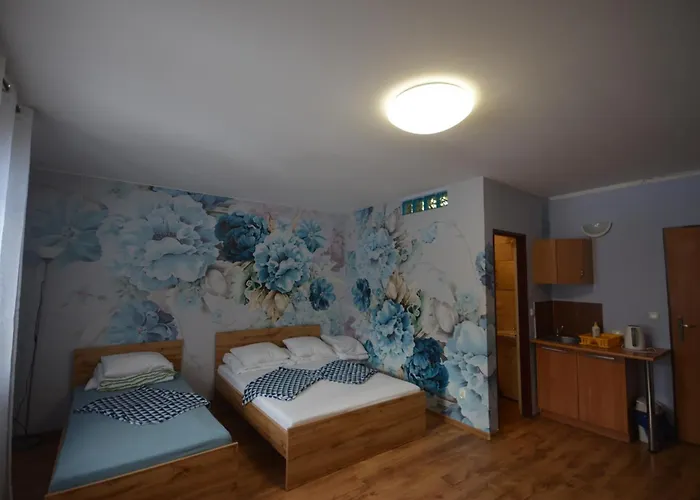 아파트 Pod Modrzewiem Agroturystyczne Mieszkania Turystyczne 두슈니키 즈드로지