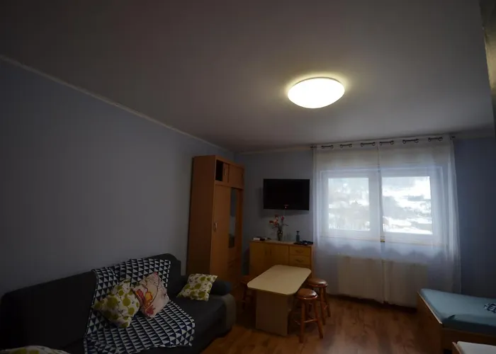 Pod Modrzewiem Agroturystyczne Mieszkania Turystyczne *