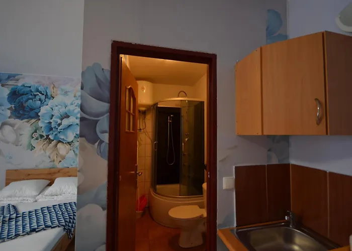 Pod Modrzewiem Agroturystyczne Mieszkania Turystyczne דוז'ניקי ז'דרוז'