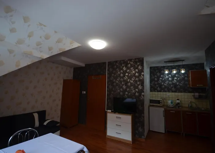 아파트 Pod Modrzewiem Agroturystyczne Mieszkania Turystyczne