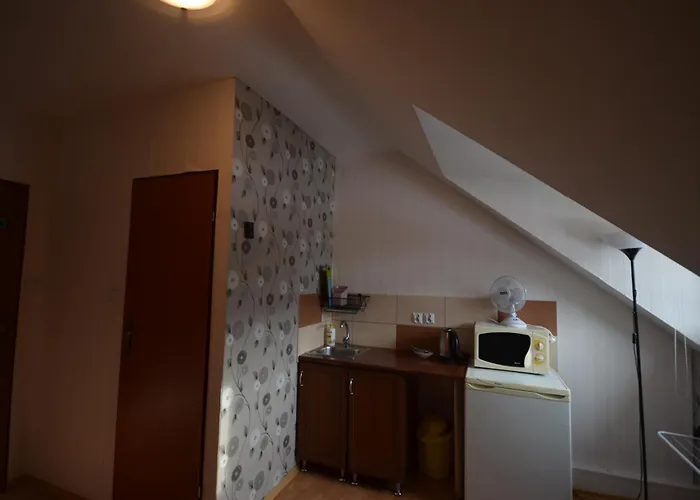 דירה Pod Modrzewiem Agroturystyczne Mieszkania Turystyczne דוז'ניקי ז'דרוז'