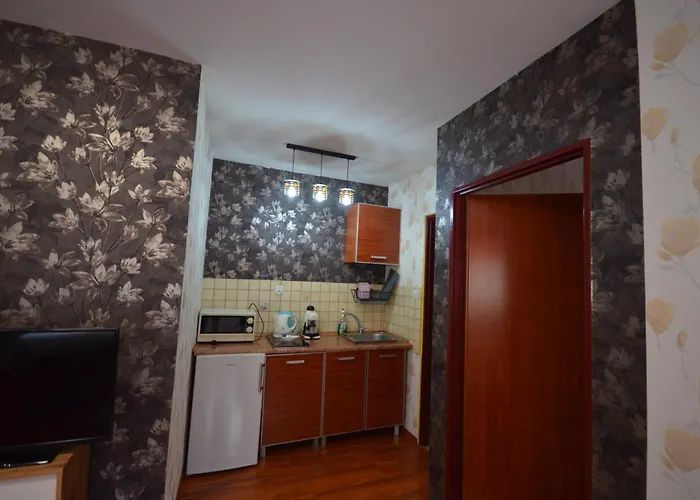 Pod Modrzewiem Agroturystyczne Mieszkania Turystyczne דוז'ניקי ז'דרוז'