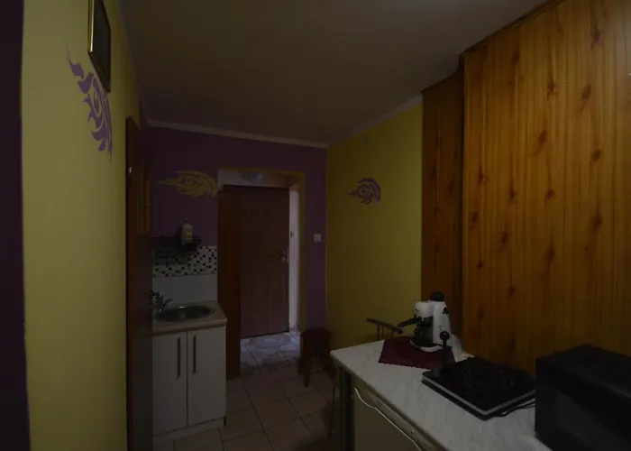 Pod Modrzewiem Agroturystyczne Mieszkania Turystyczne