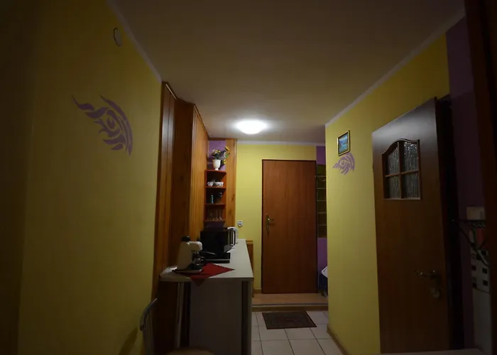 Pod Modrzewiem Agroturystyczne Mieszkania Turystyczne 아파트 두슈니키 즈드로지